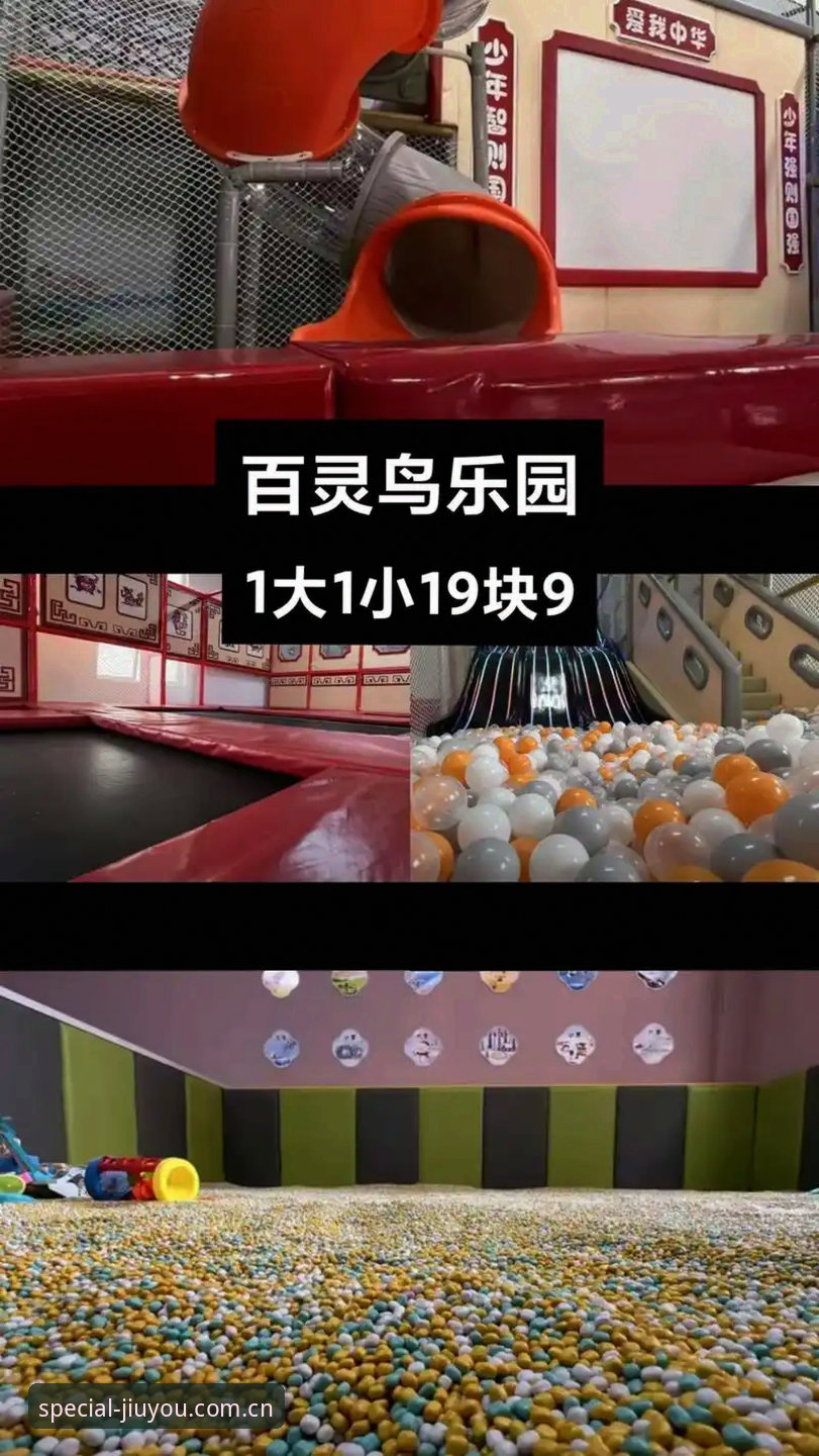 九游APP登录失败怎么办使用指南 九游APP登录失败怎么办:从v2.3.0到DEV版本,我的排查实录与操作教程